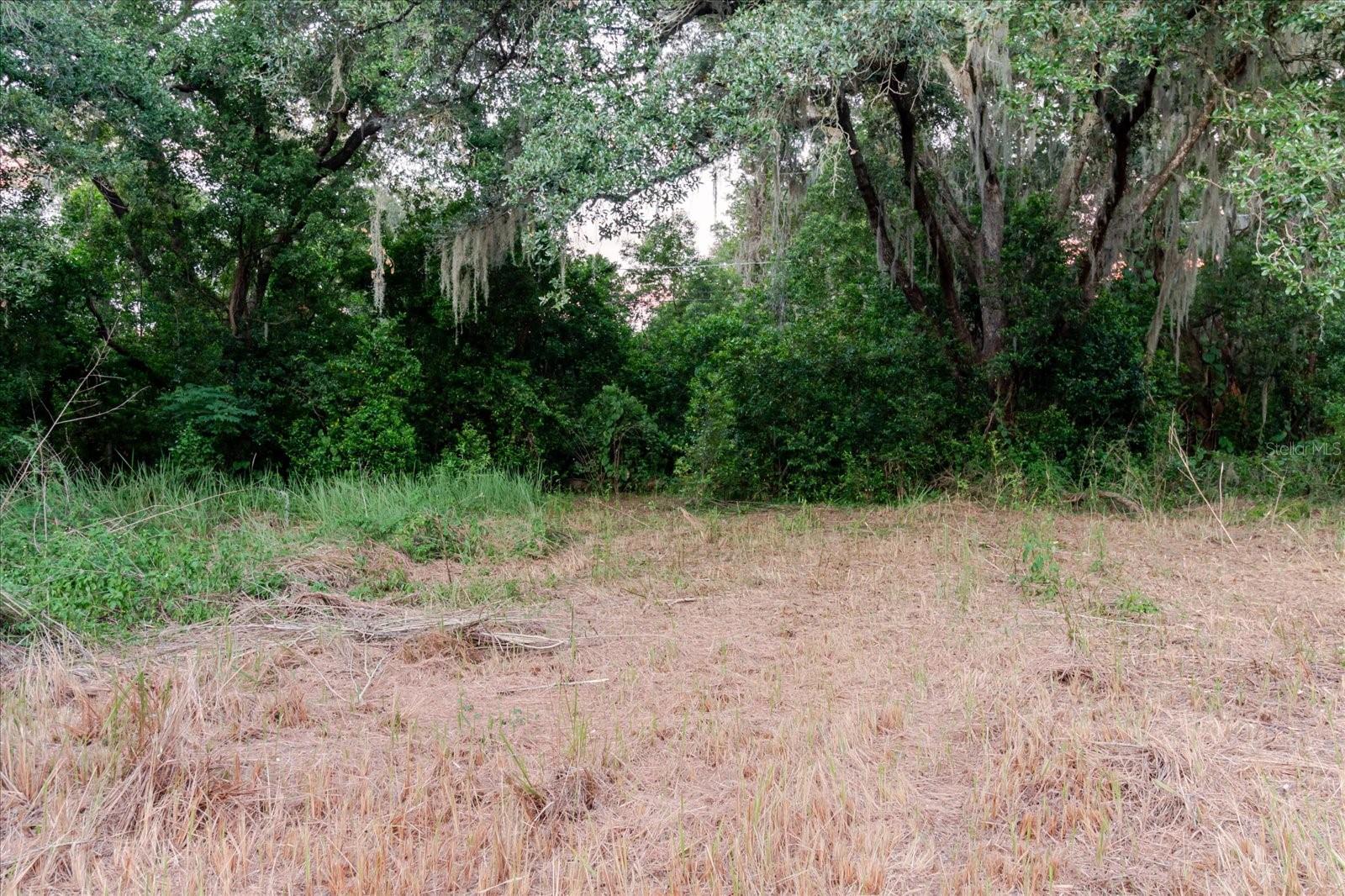 11152 GALAXY LN — photo 70