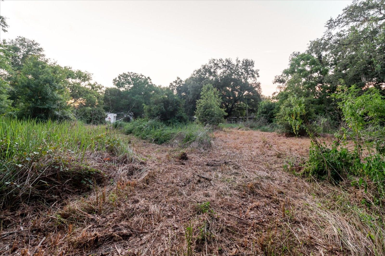 11152 GALAXY LN — photo 37