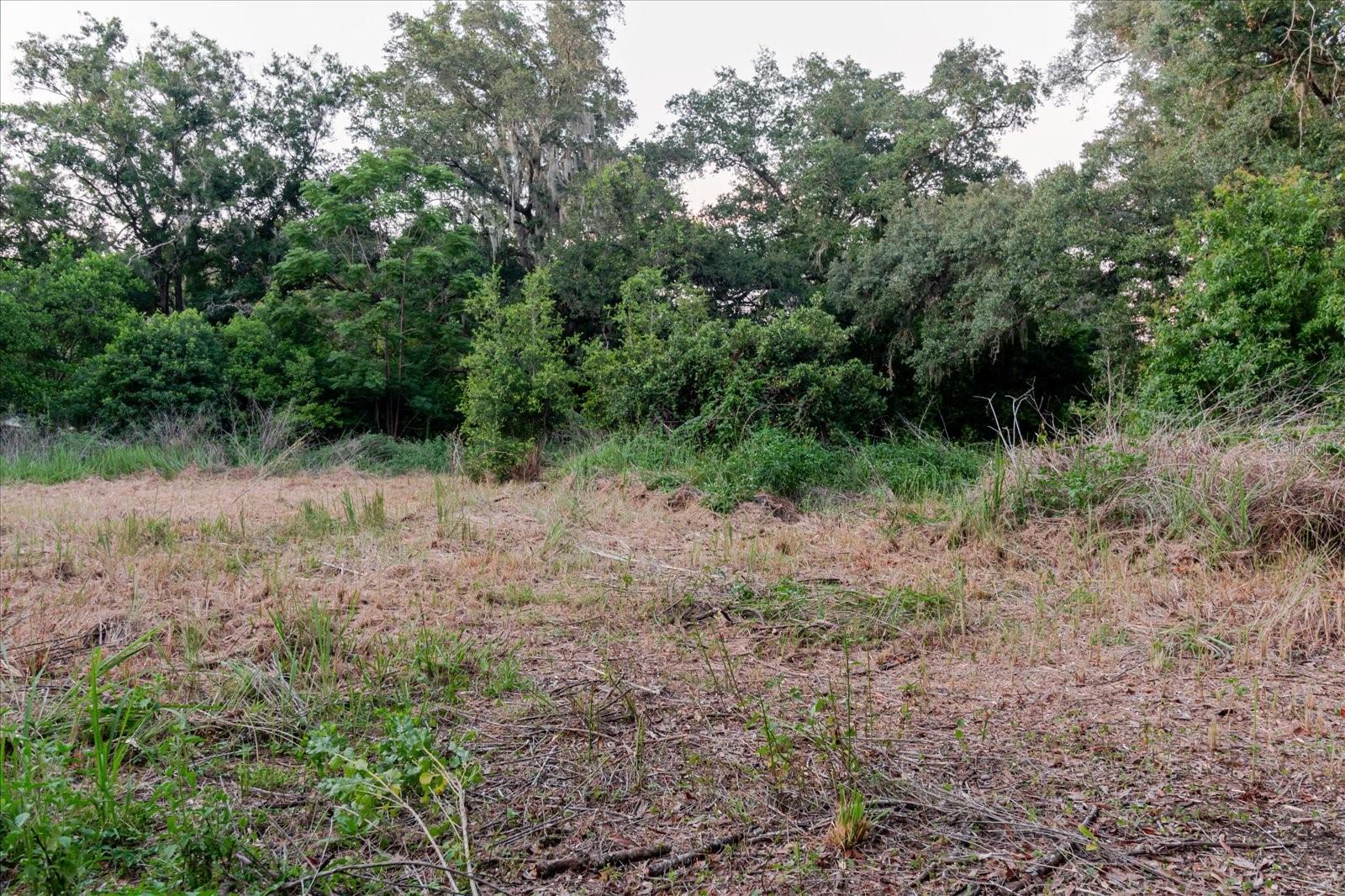 11152 GALAXY LN — photo 66