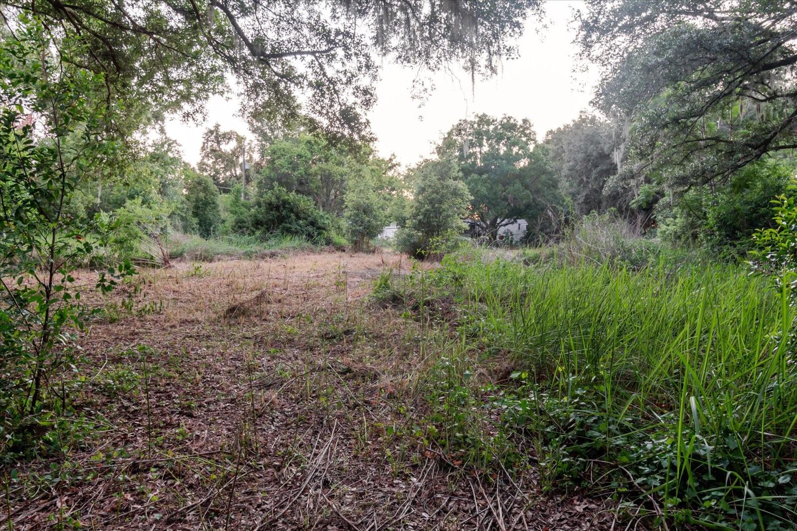11152 GALAXY LN — photo 75