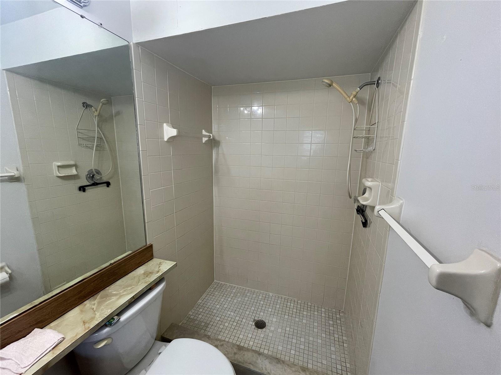 11001 SUNSWEPT PL — photo 17
