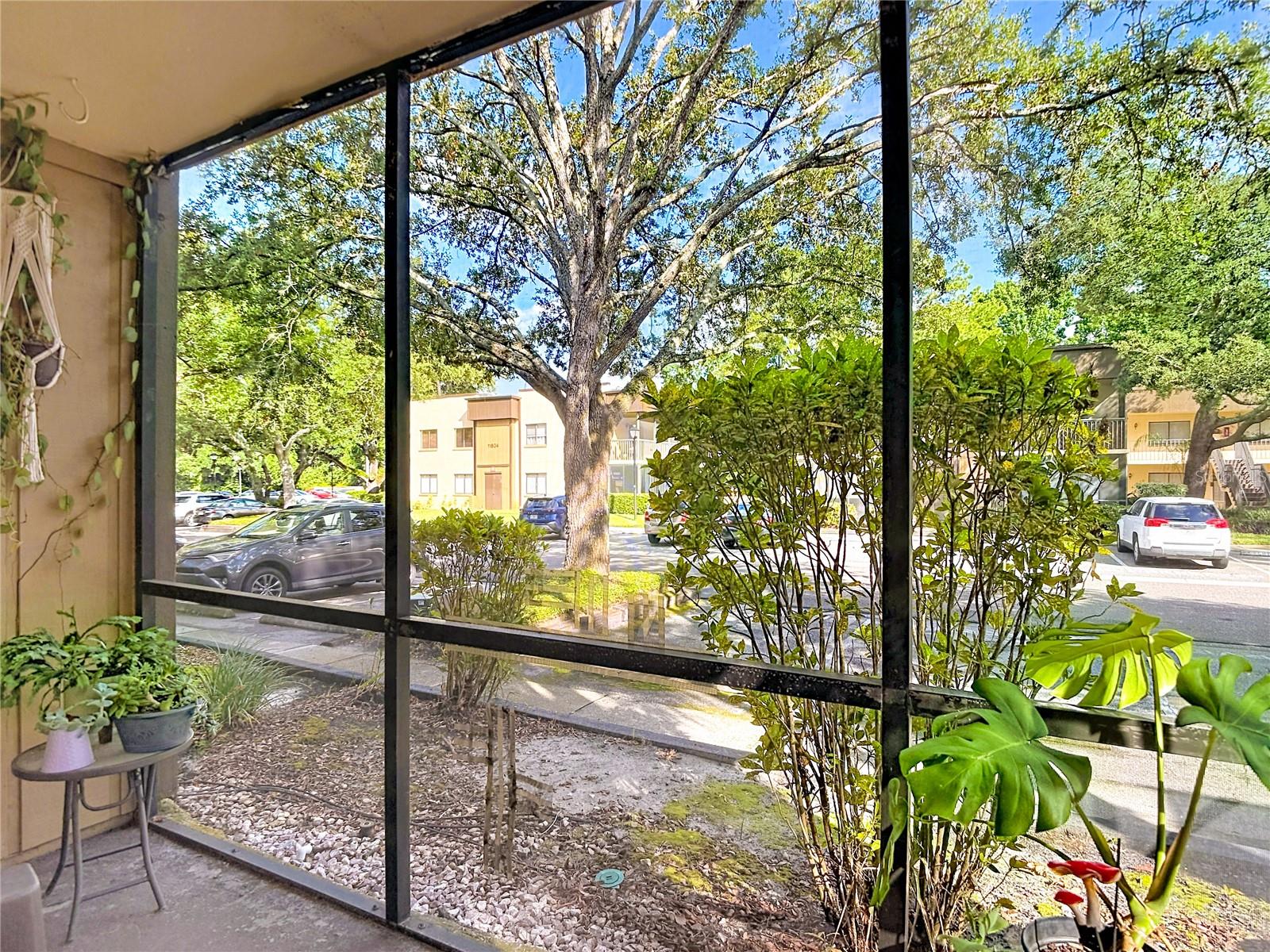 11805 RAINTREE LAKE LN #B — photo 31