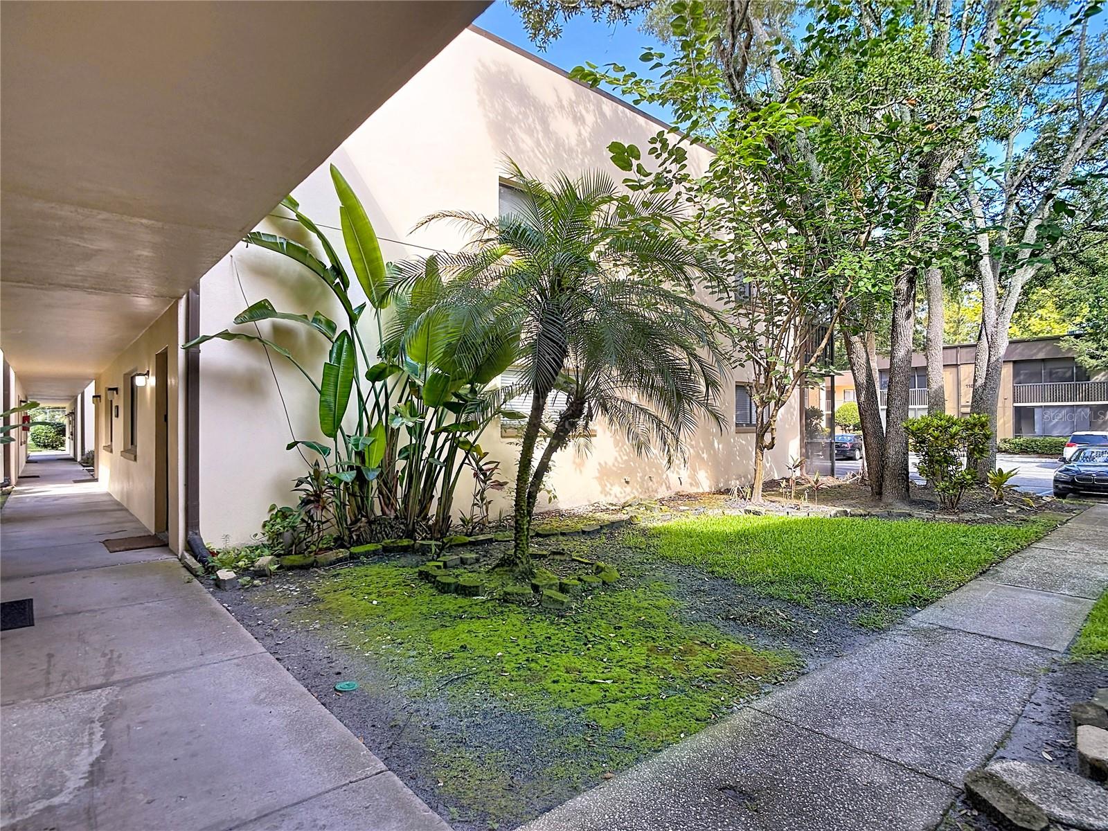 11805 RAINTREE LAKE LN #B — photo 3