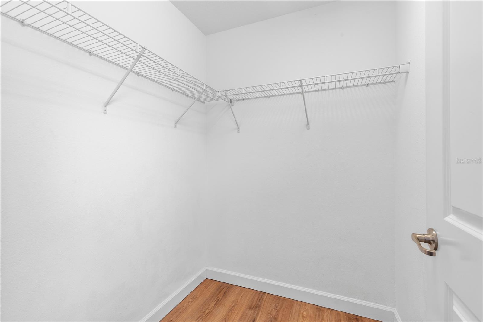 3147 CALVANO DR — photo 37