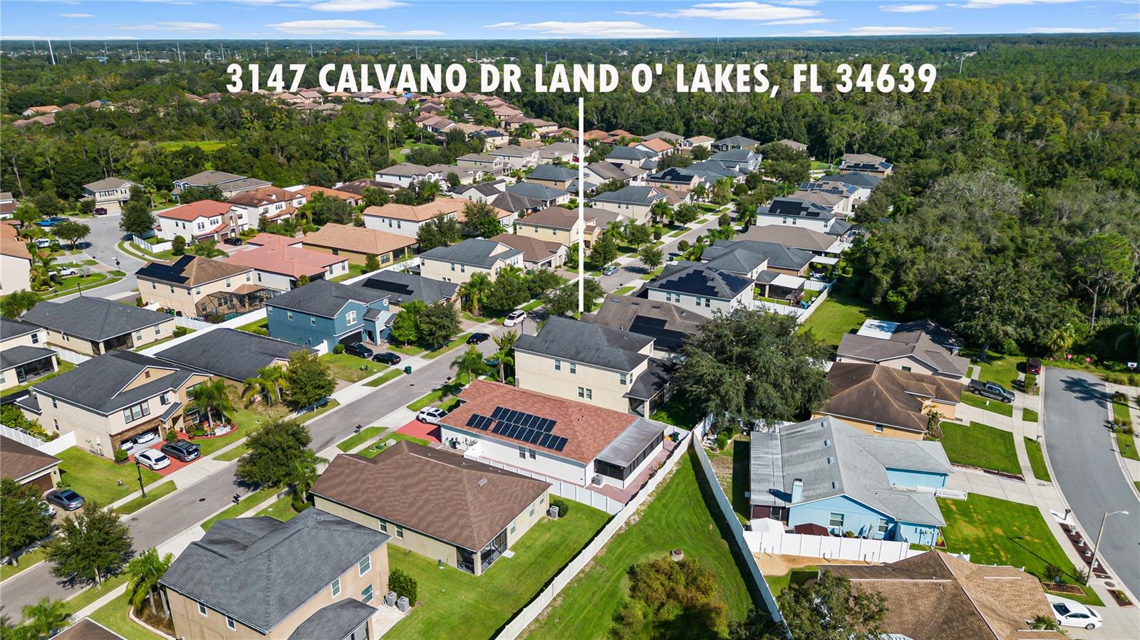 3147 CALVANO DR — photo 56