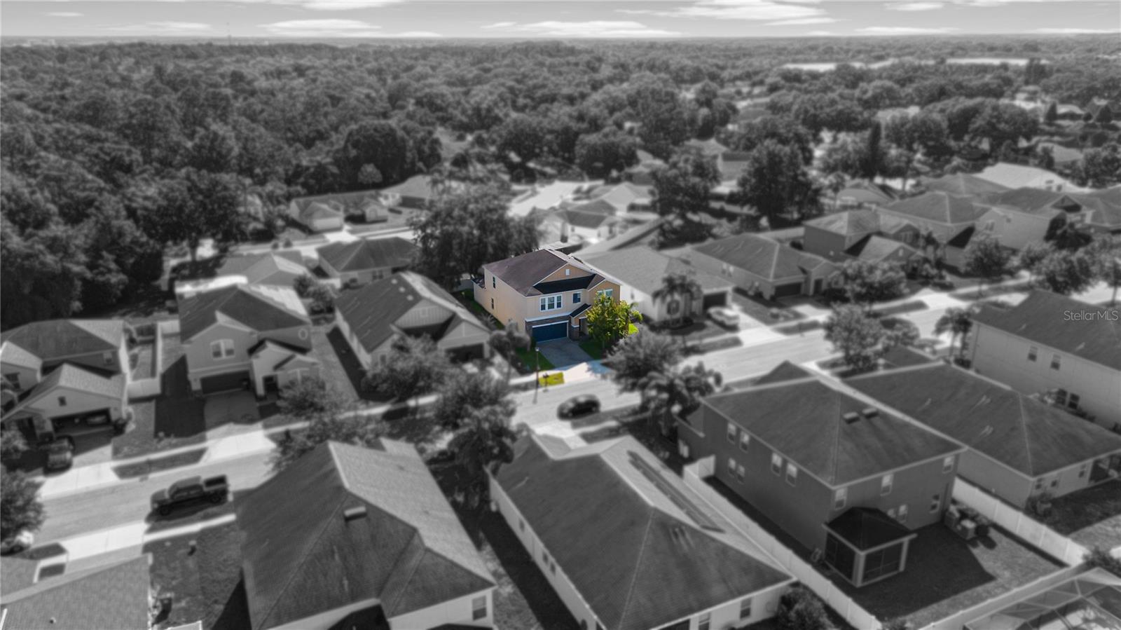 3147 CALVANO DR — photo 58