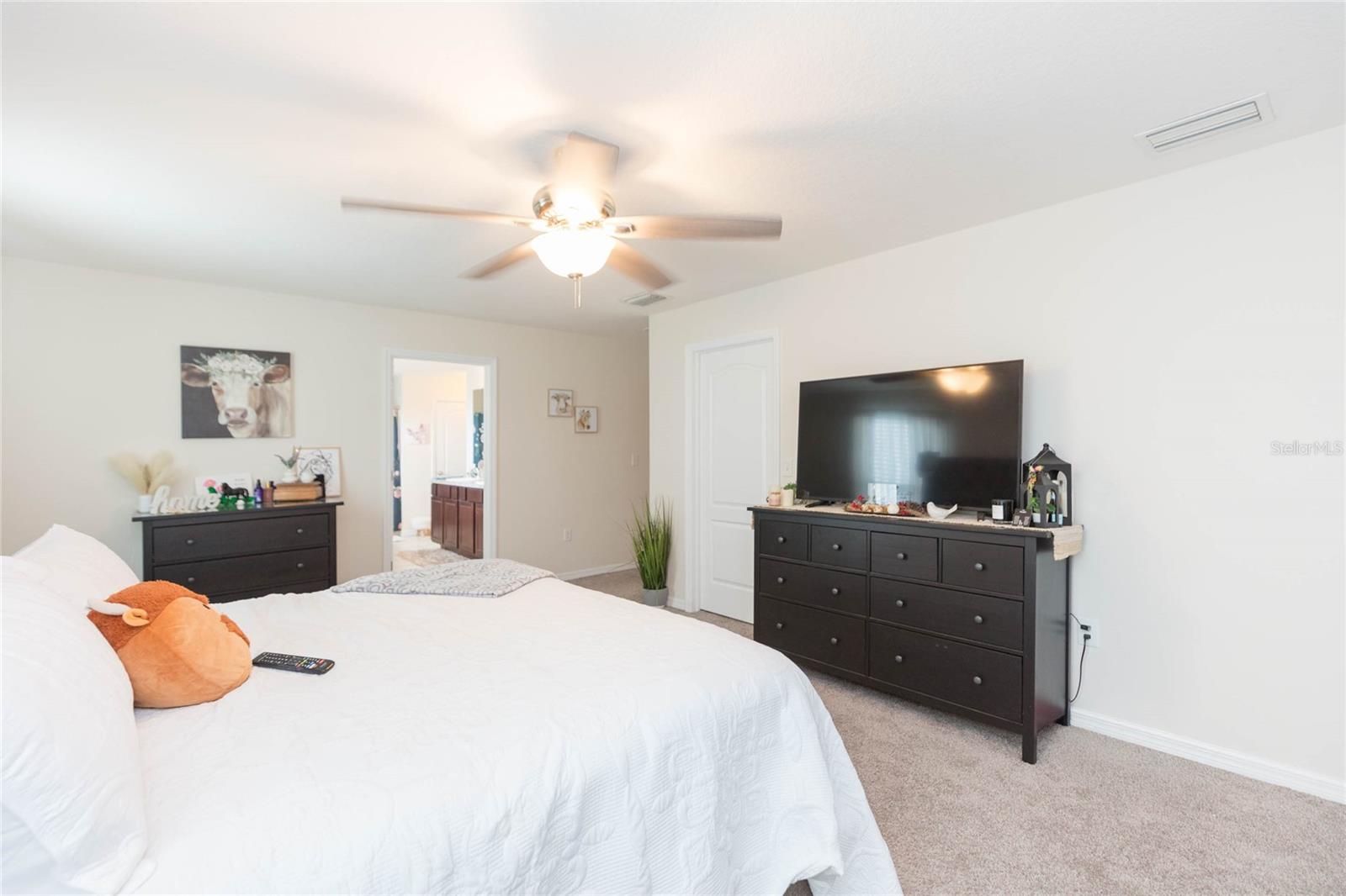 3514 SAN MOISE PL — photo 28
