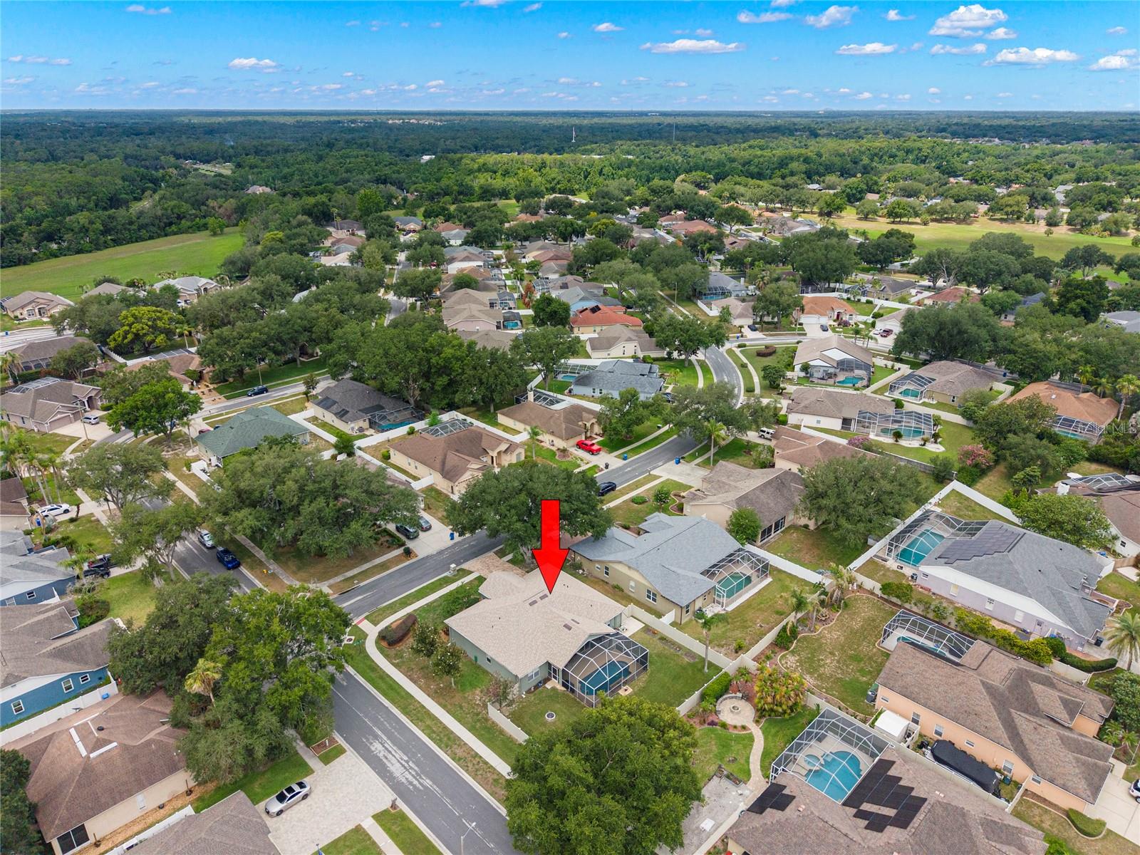 4038 LITHIA RIDGE BLVD — photo 40
