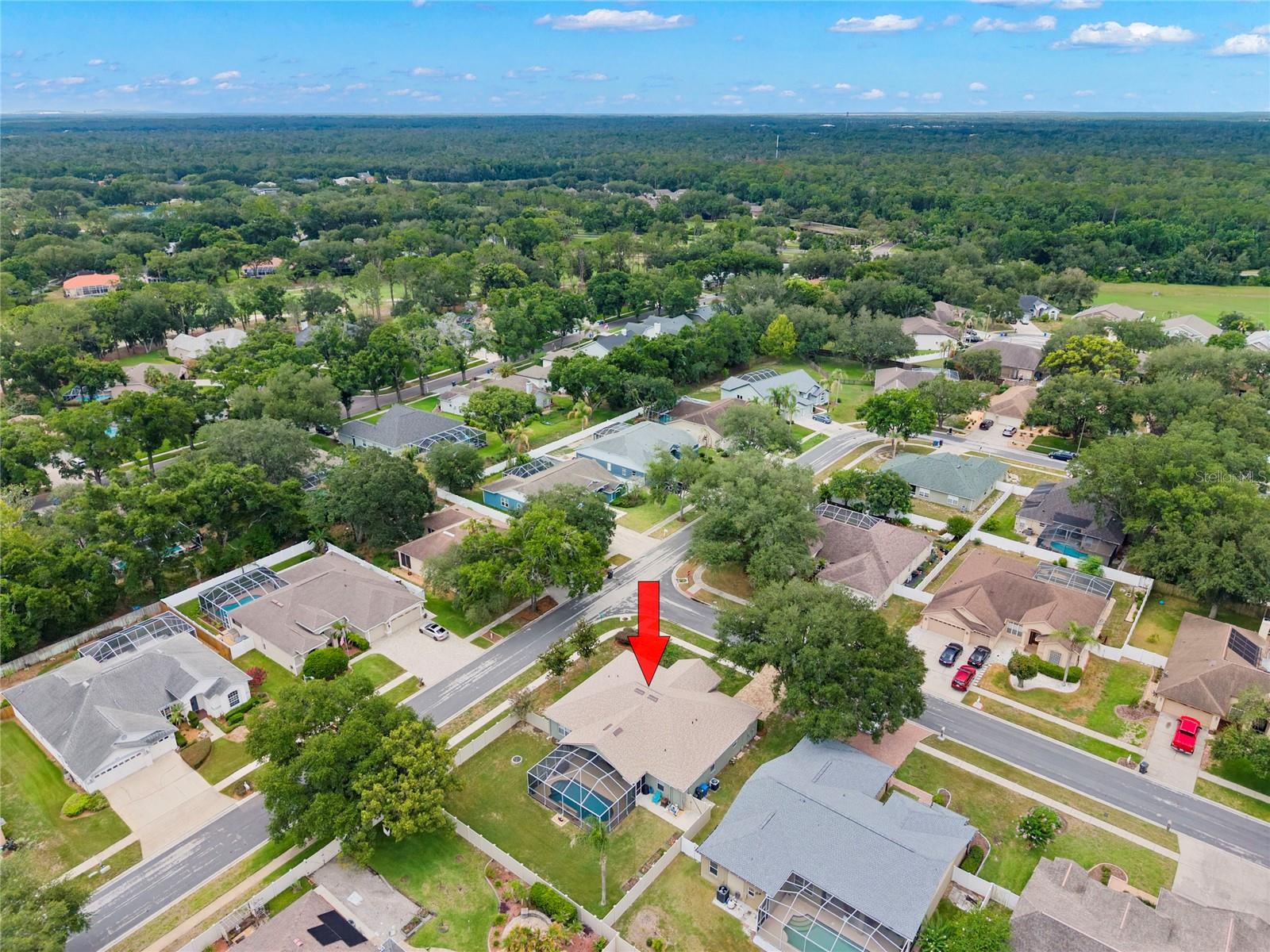 4038 LITHIA RIDGE BLVD — photo 39