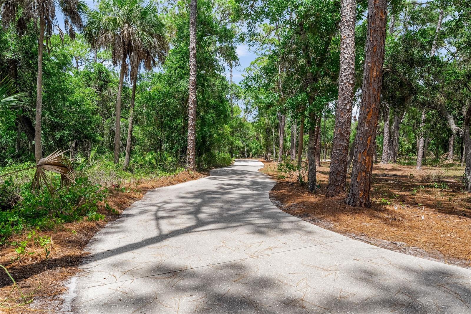 2810 SARASOTA GOLF CLUB BLVD — photo 4