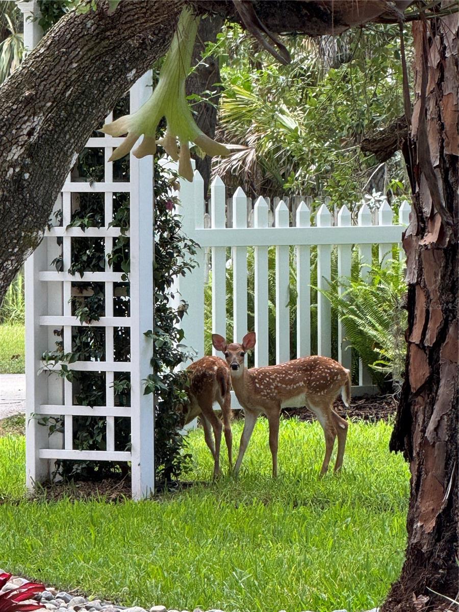 2810 SARASOTA GOLF CLUB BLVD — photo 94