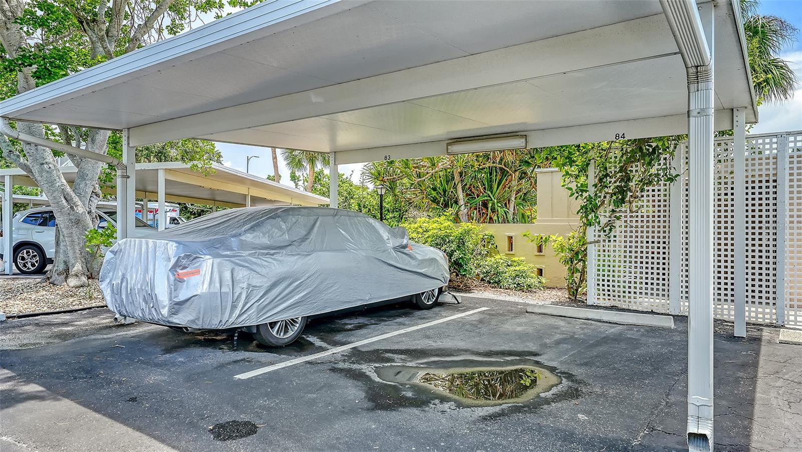 777 JOHN RINGLING BLVD #24 — photo 32