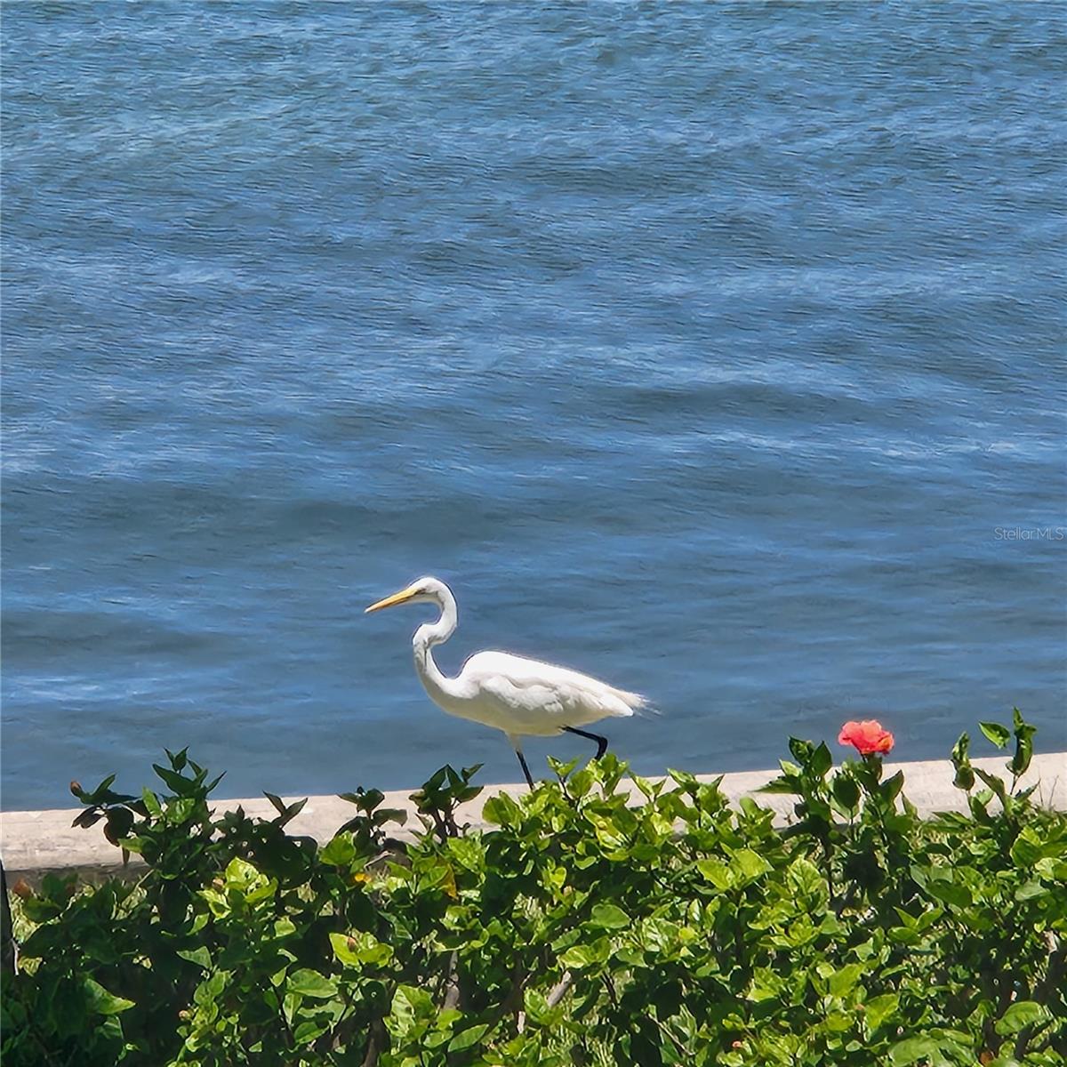 777 JOHN RINGLING BLVD #24 — photo 14