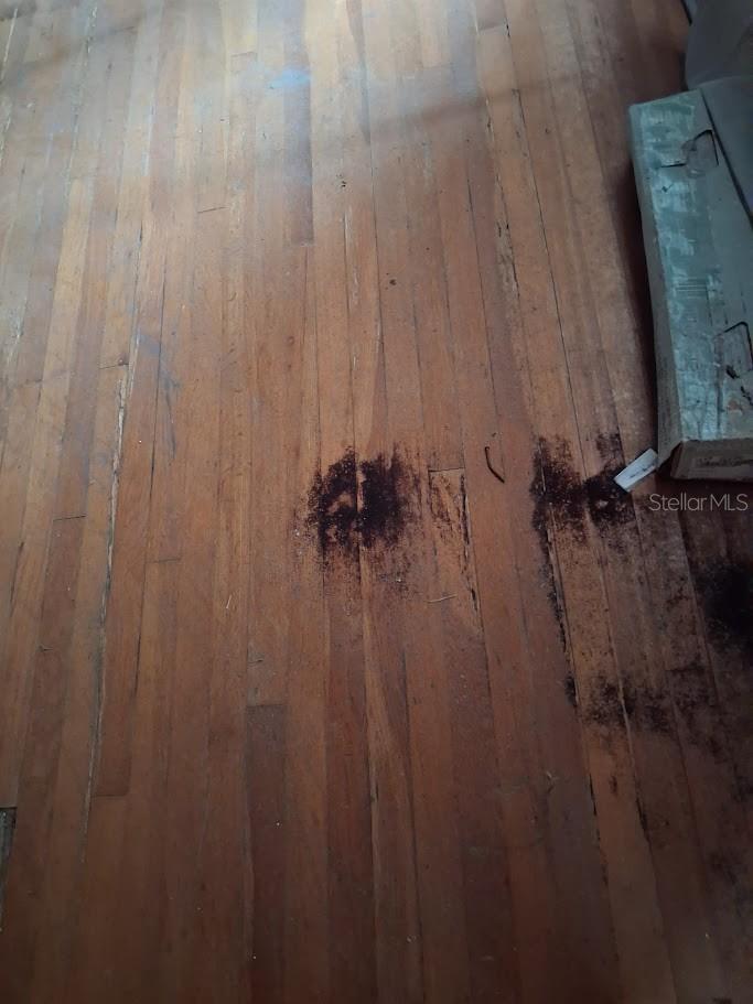 217 BANANA ST — photo 19