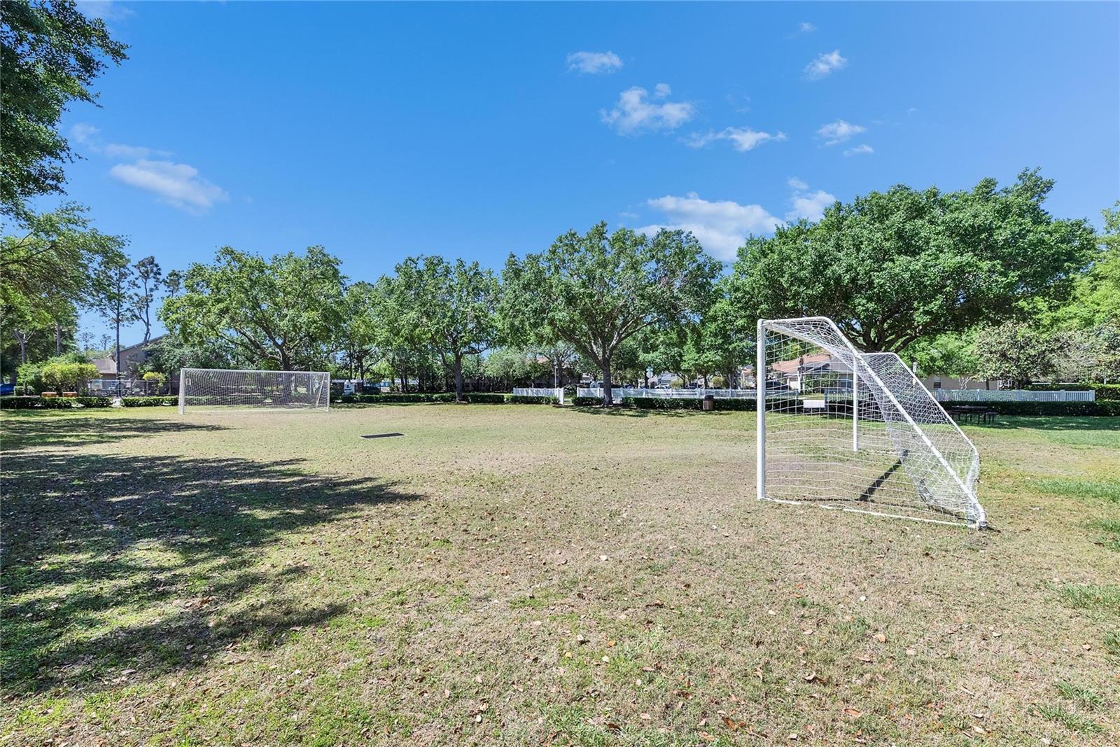 21744 WAVERLY SHORES LN — photo 42