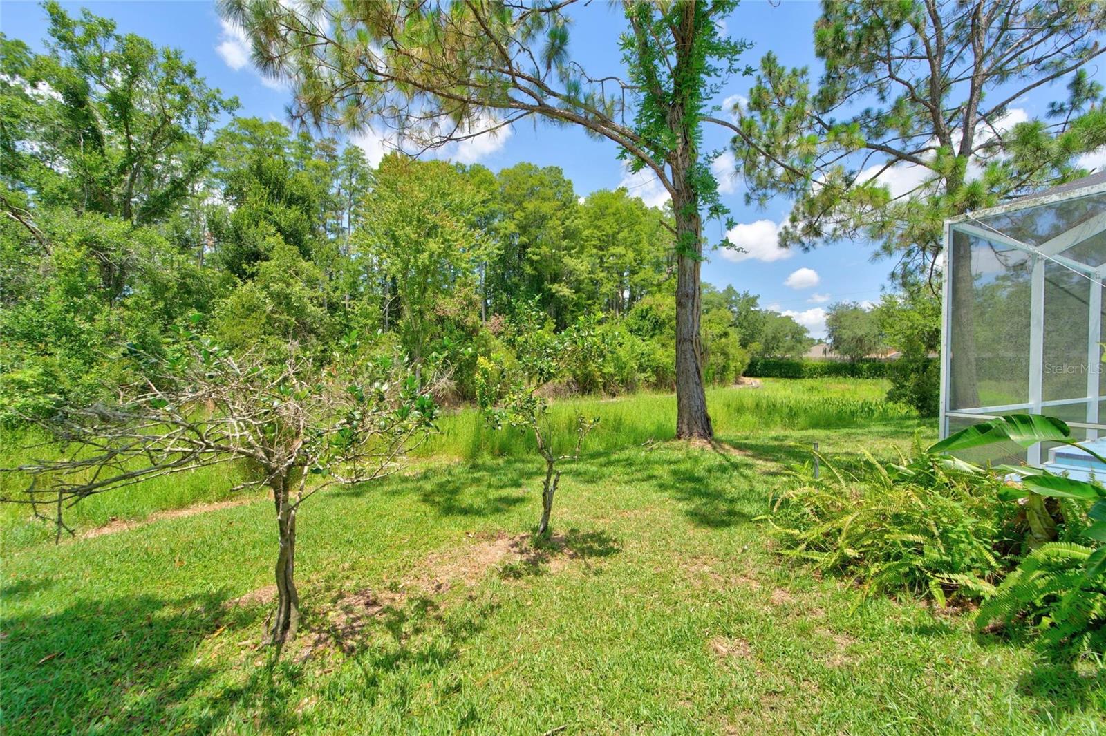 21744 WAVERLY SHORES LN — photo 38