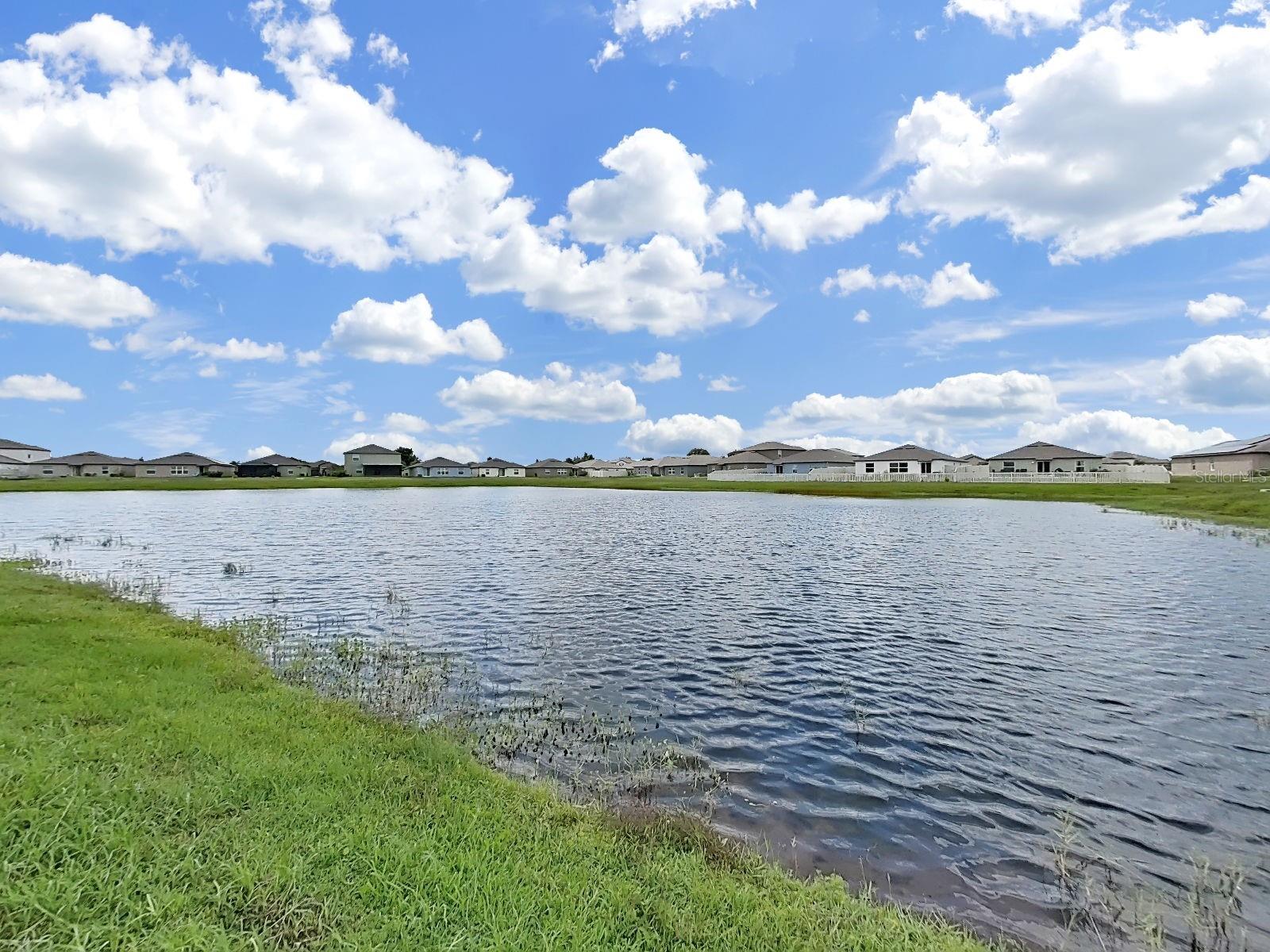 5413 BLUE AZURE DR — photo 45