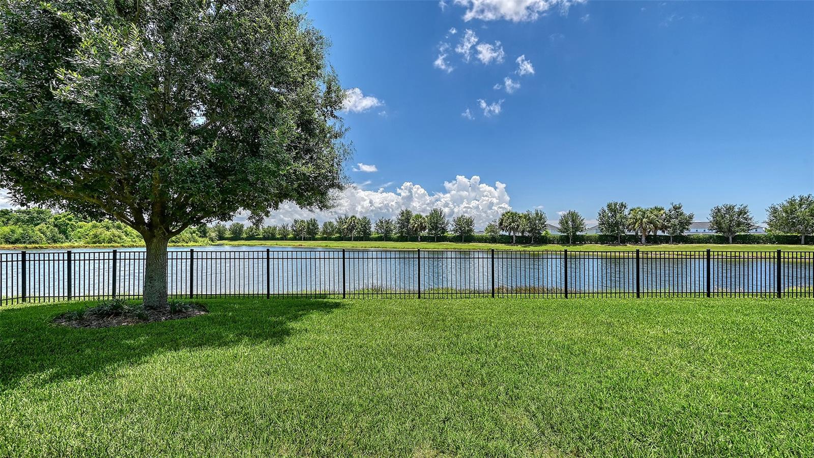 12318 BLUE HILL TRL — photo 53
