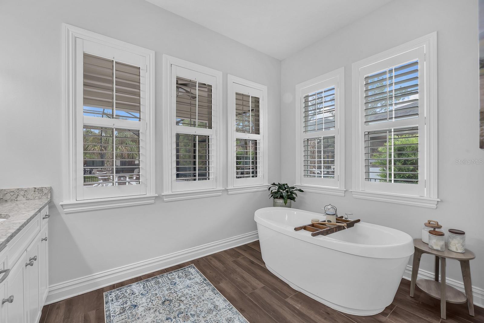 5202 ALAFIA FALLS DR — photo 21