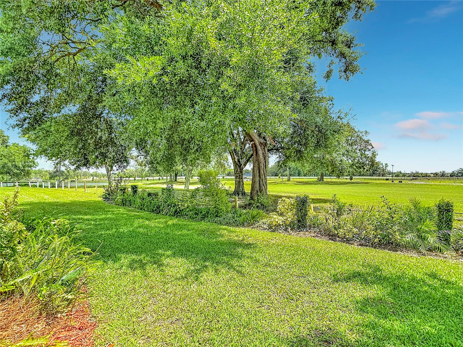 13203 GOLF RIDGE PL — photo 64