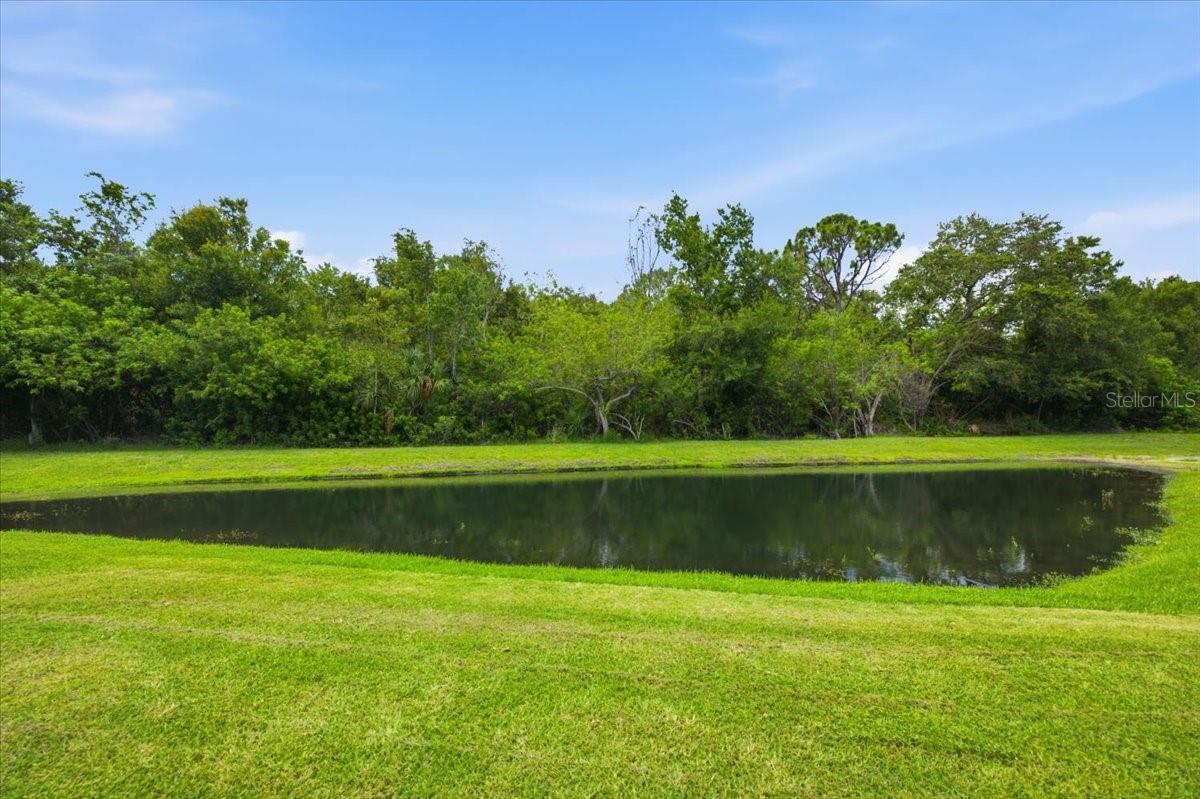 392 TAVERNIER CIR — photo 49