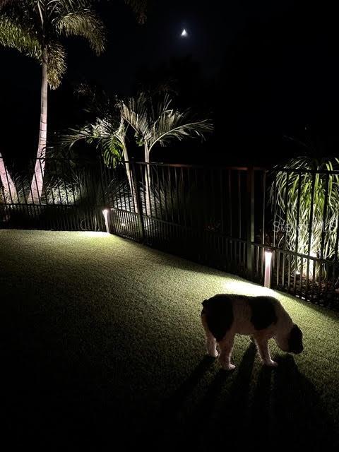 18839 DAYSPRING PL — photo 48