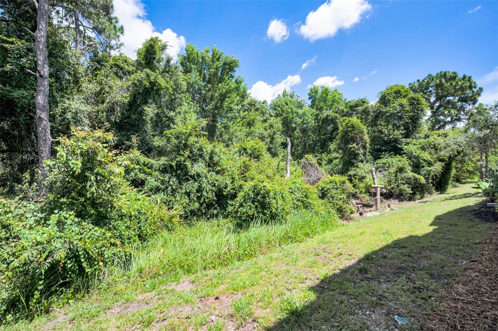 8525 SHALLOW CREEK — photo 46