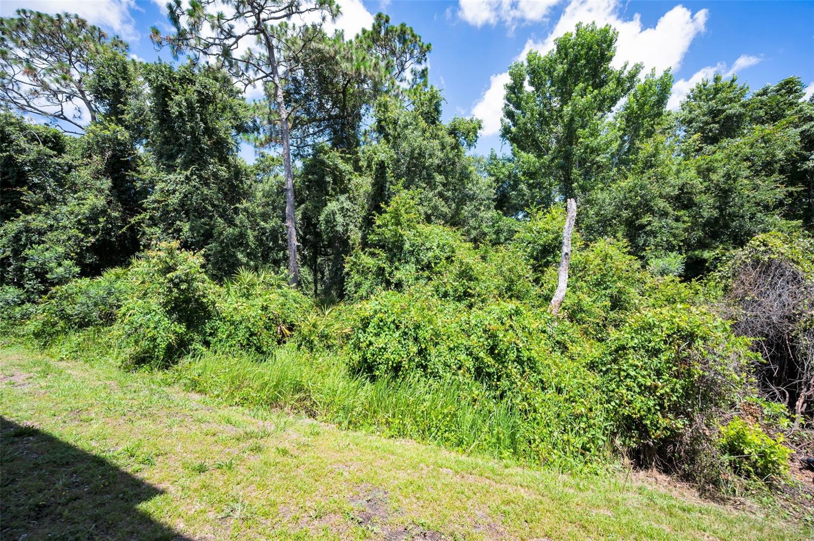 8525 SHALLOW CREEK — photo 48