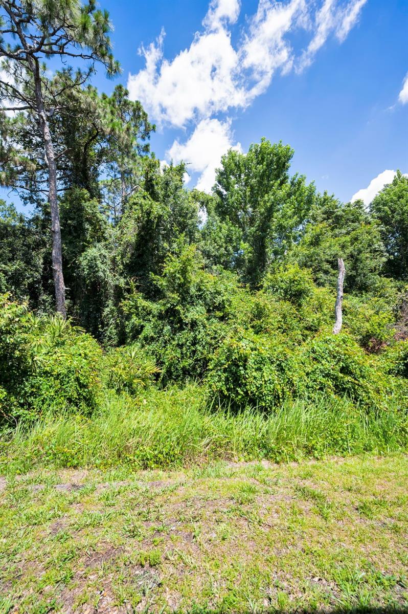 8525 SHALLOW CREEK — photo 47