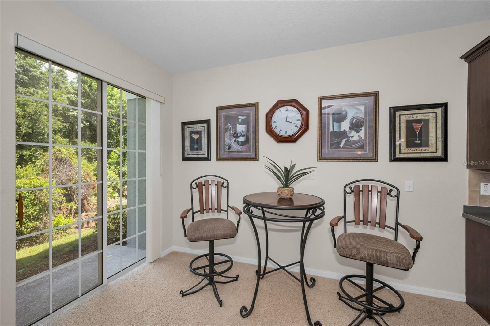 8525 SHALLOW CREEK — photo 17