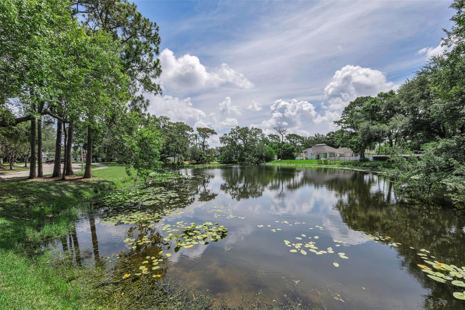10497 LONGWOOD DR — photo 44