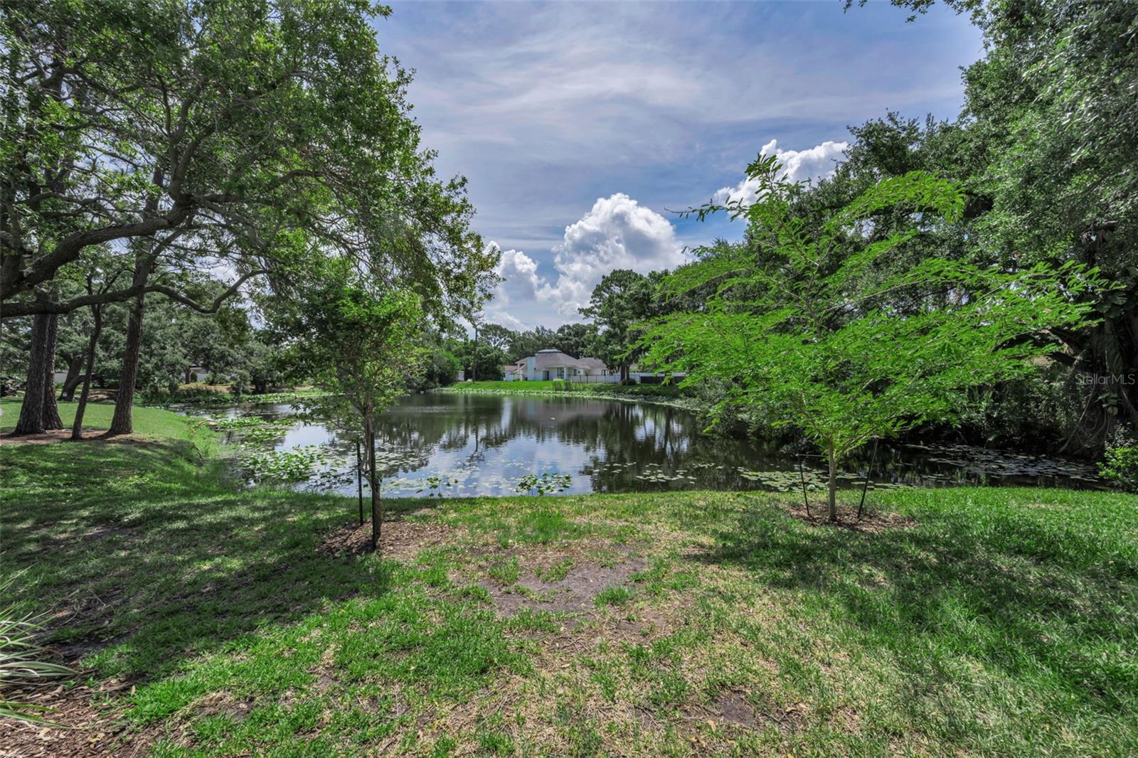 10497 LONGWOOD DR — photo 52