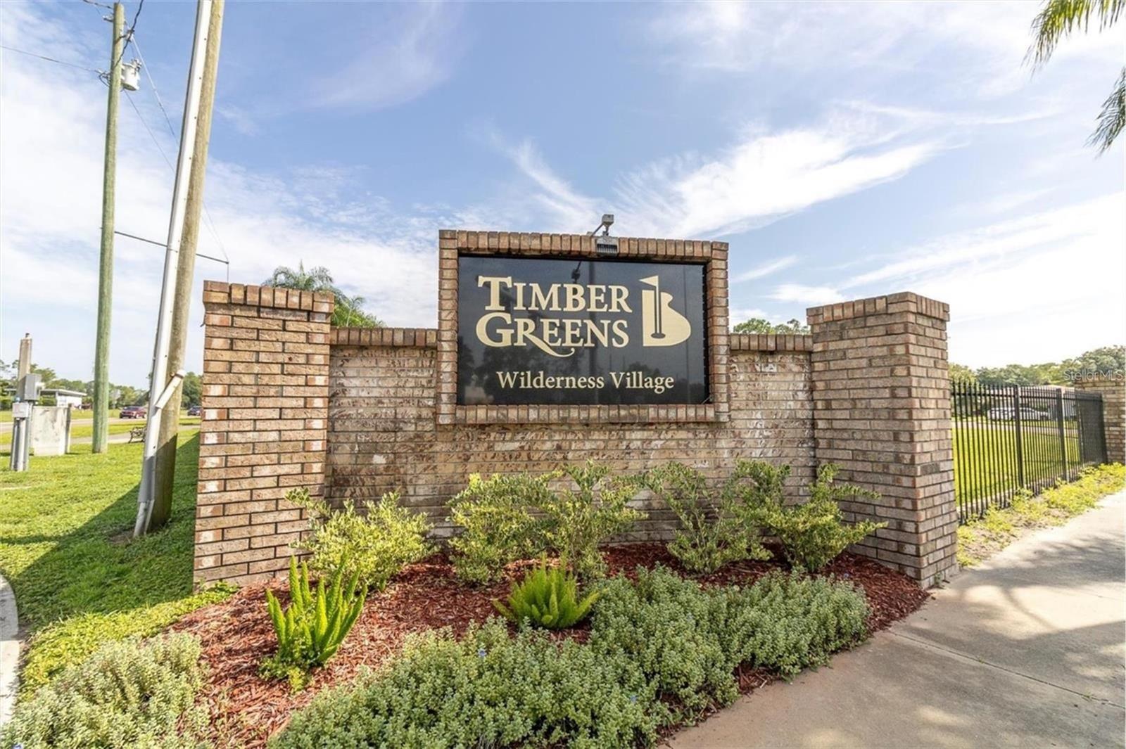 6525 PINE WALK DR — photo 34
