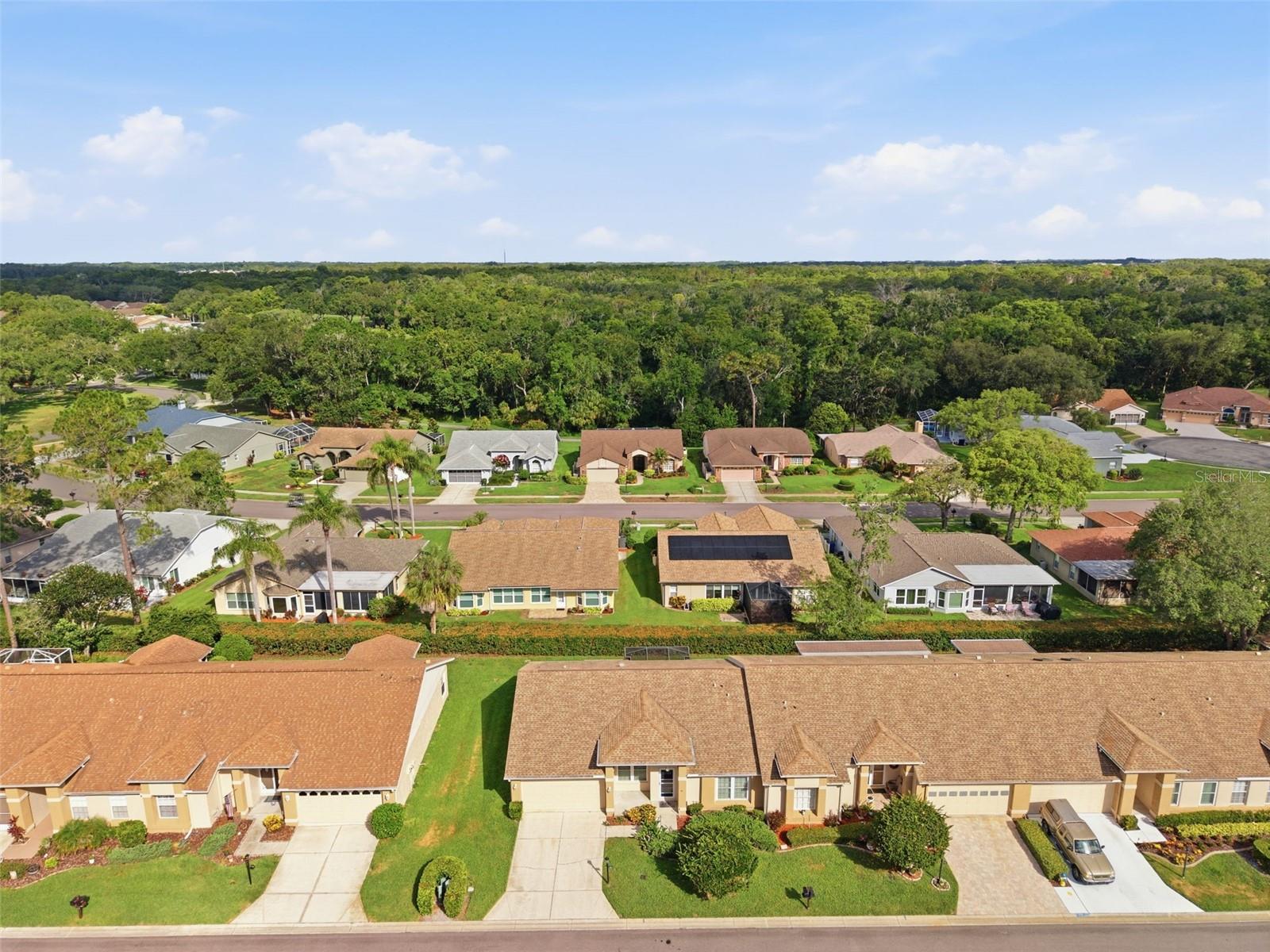 6525 PINE WALK DR — photo 32