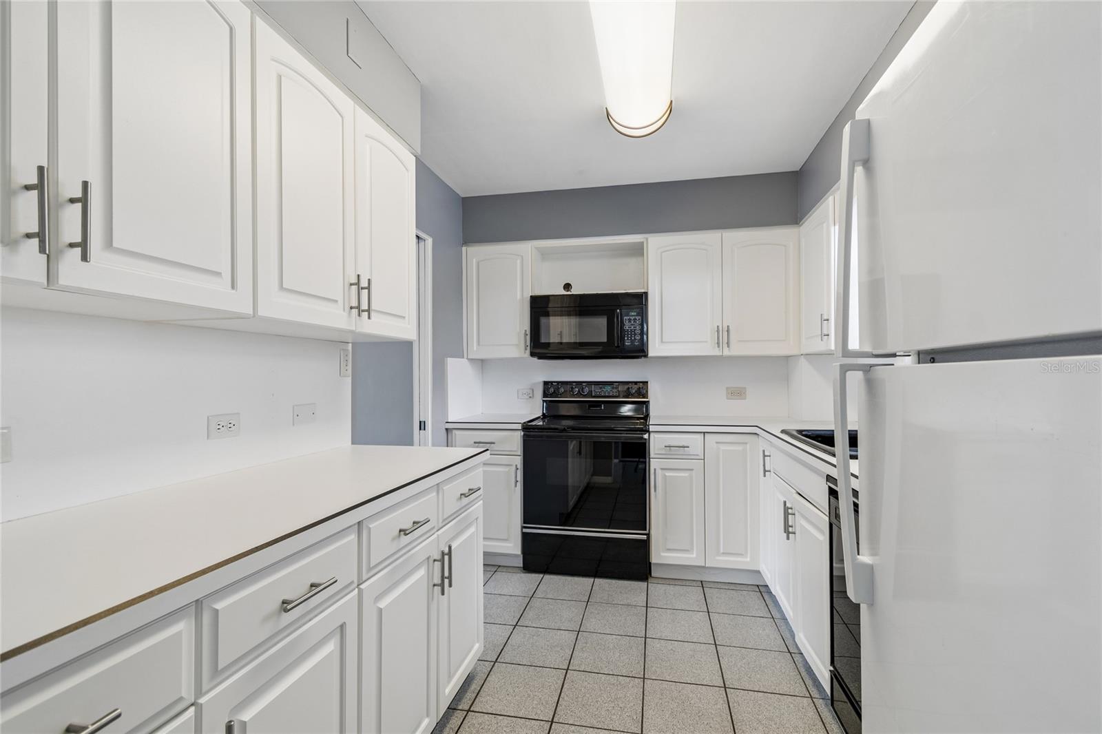 1365 N SNELL ISLE BLVD NE #2E — photo 5