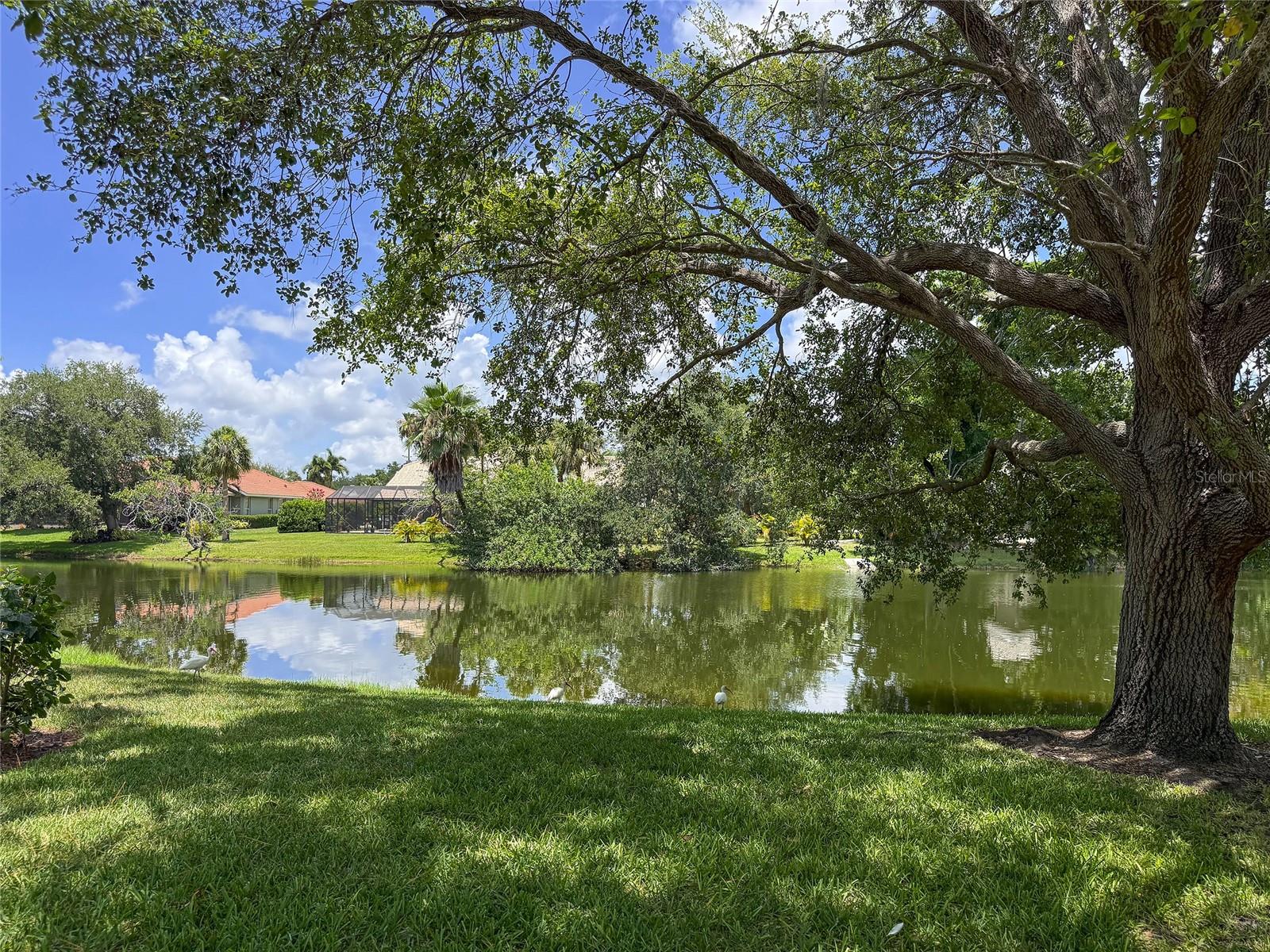 3731 SARASOTA SQUARE BLVD #309E — photo 47