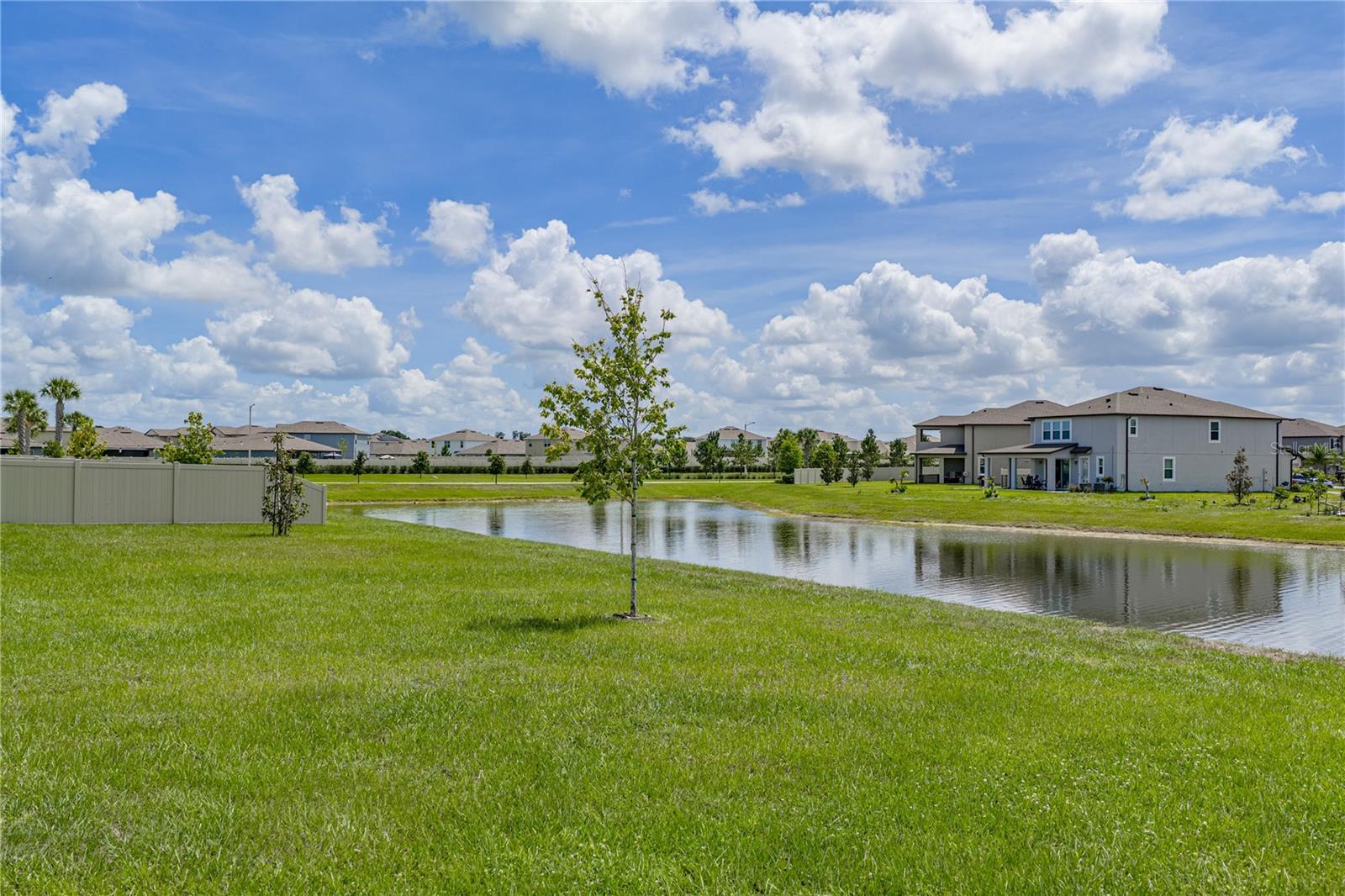 3062 LIVING CORAL ST — photo 45
