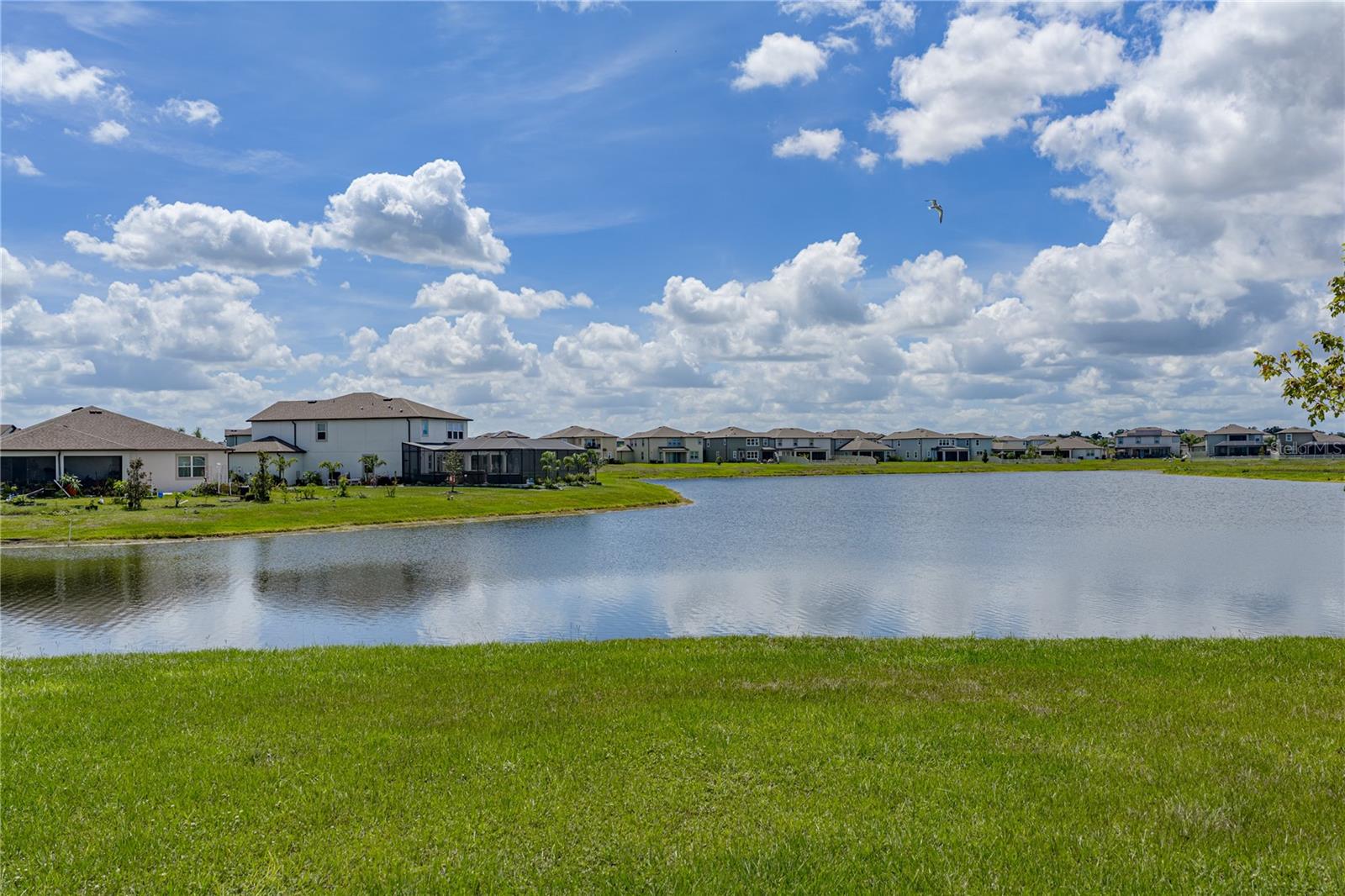 3062 LIVING CORAL ST — photo 44