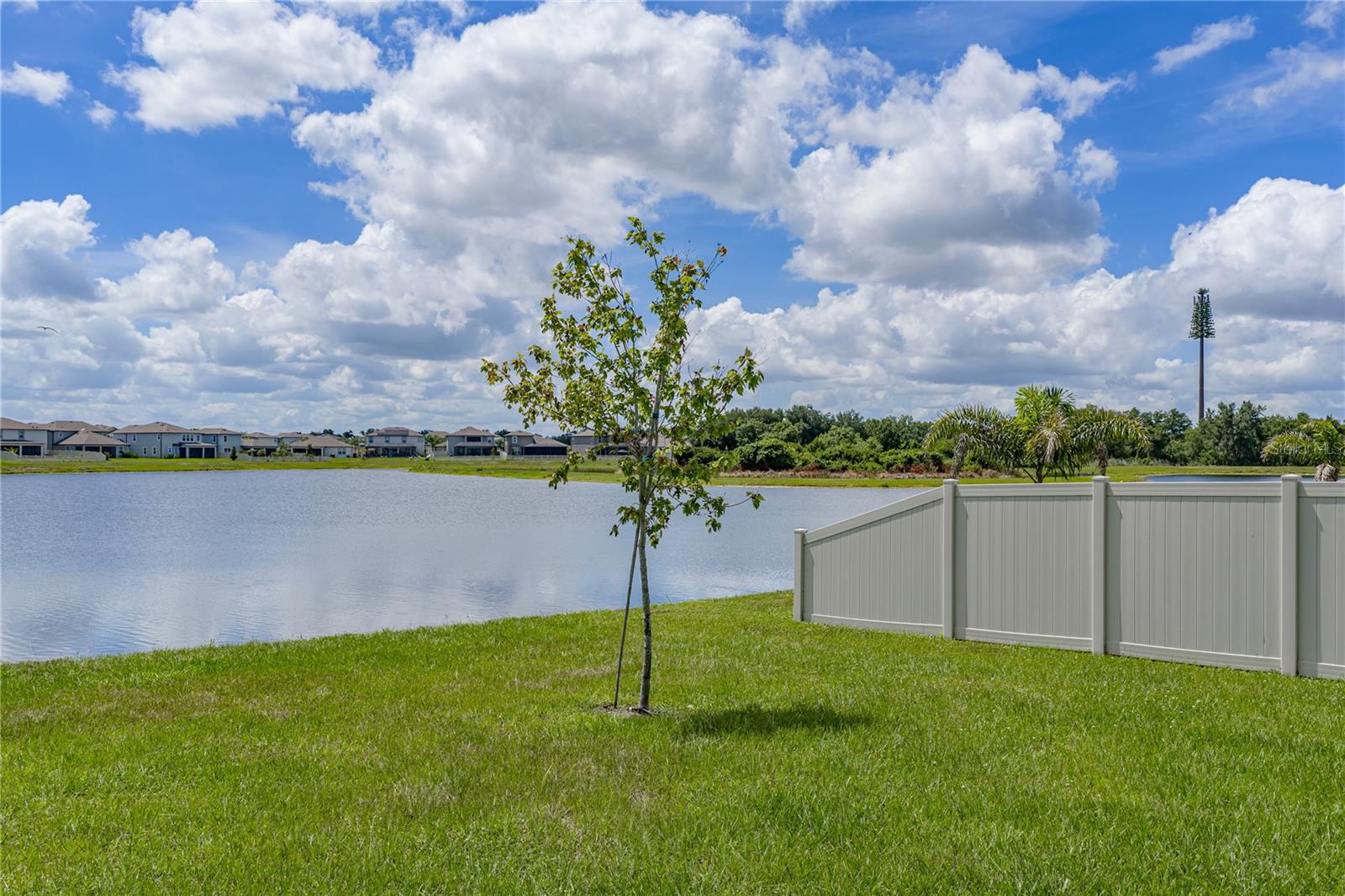 3062 LIVING CORAL ST — photo 43