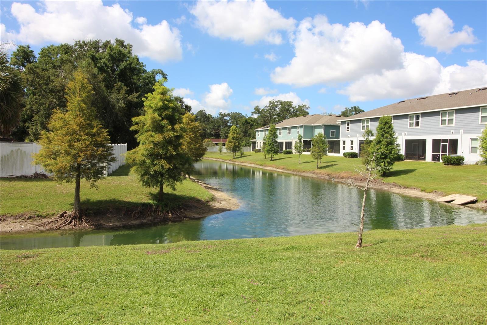 2135 LACEFLOWER DR — photo 3