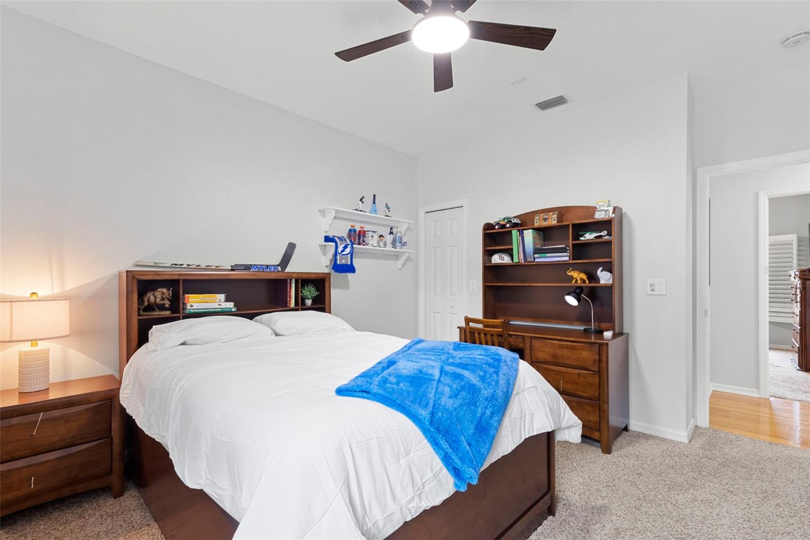 8380 GOLDEN PRAIRIE DR — photo 38