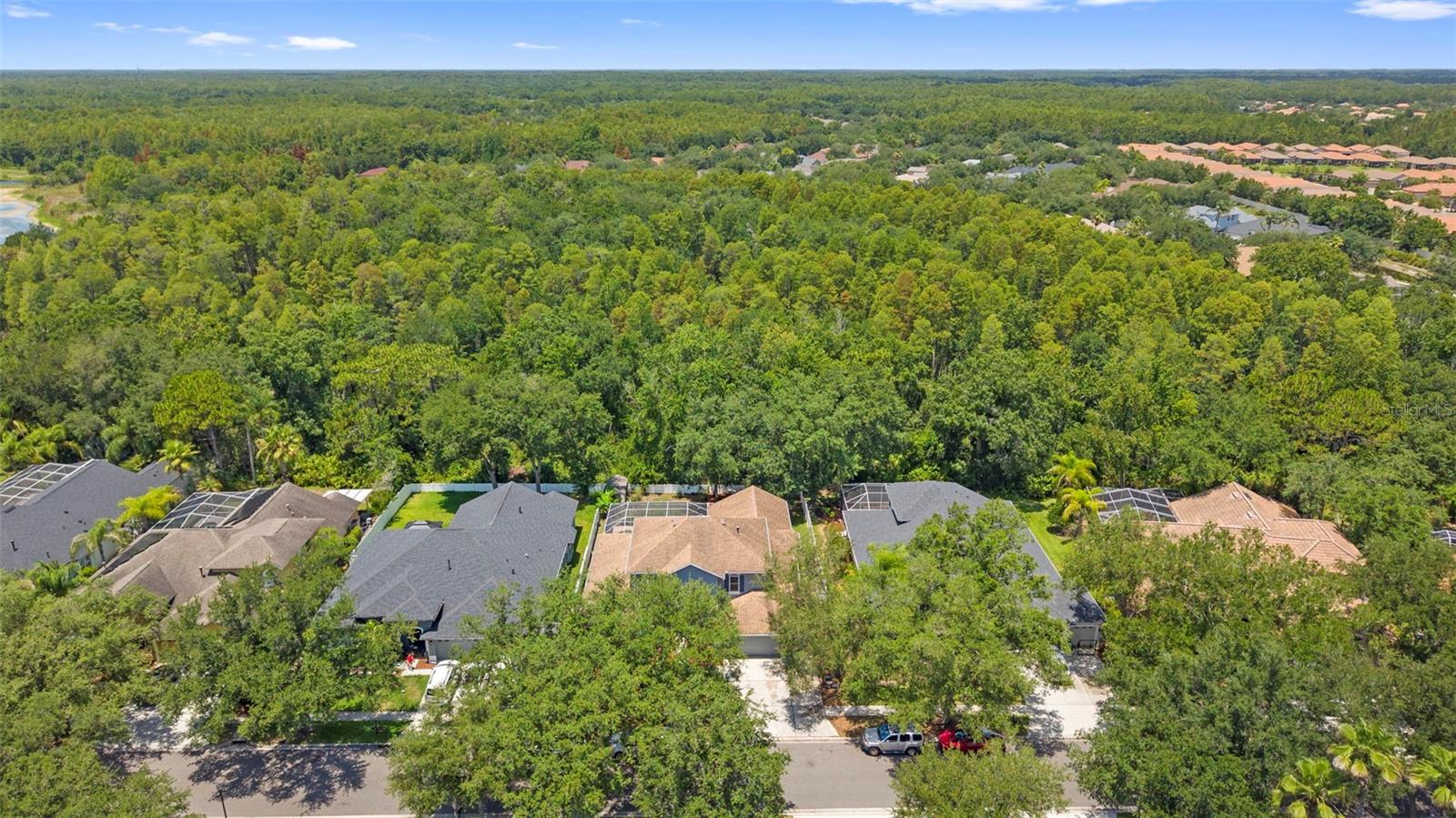 8380 GOLDEN PRAIRIE DR — photo 61