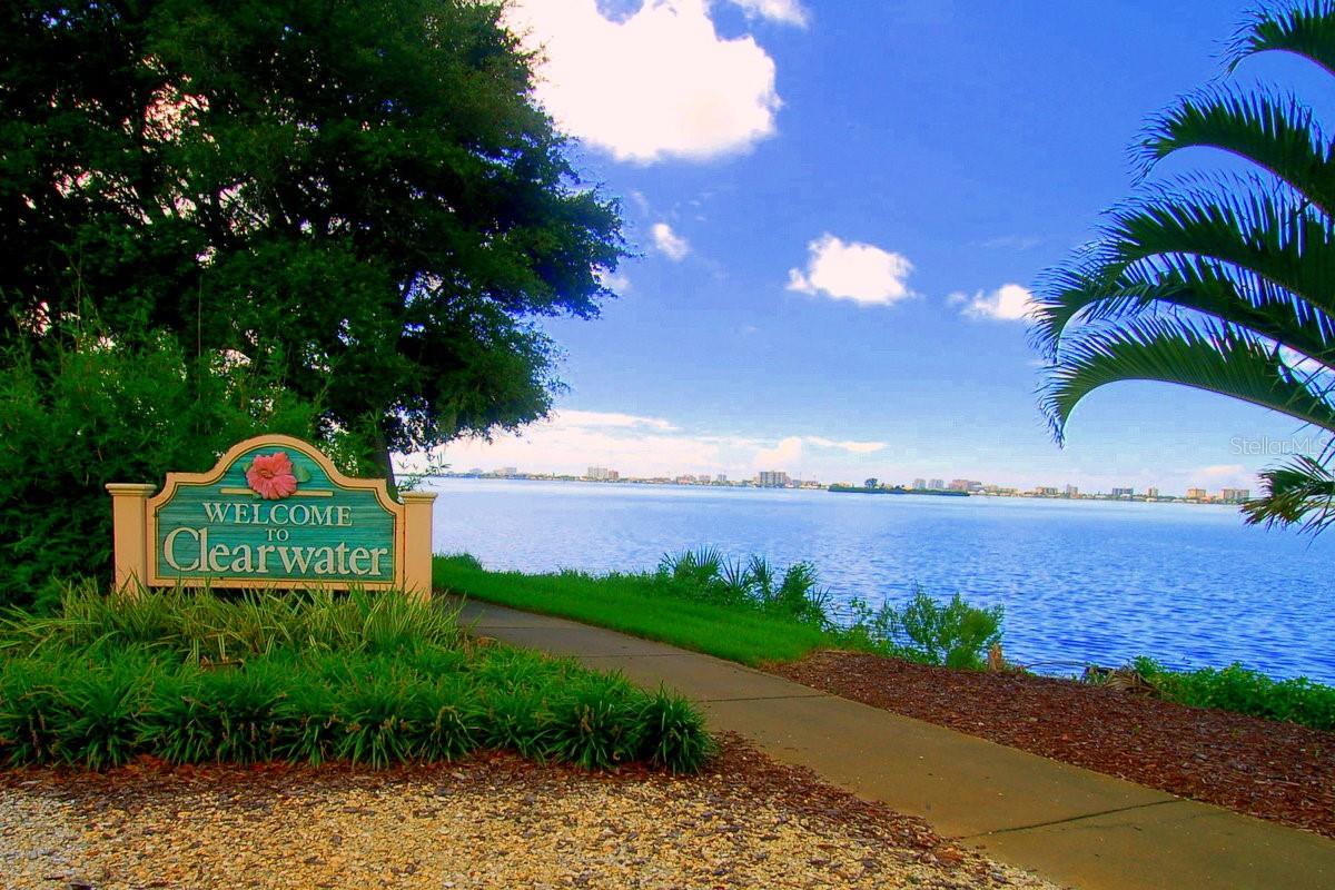 2400 WINDING CREEK BLVD #20A-109 — photo 51
