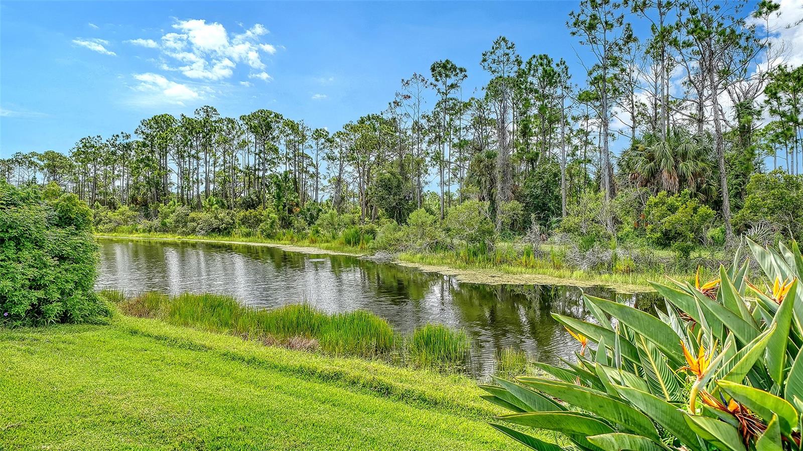 1104 MALLARD MARSH DR — photo 49