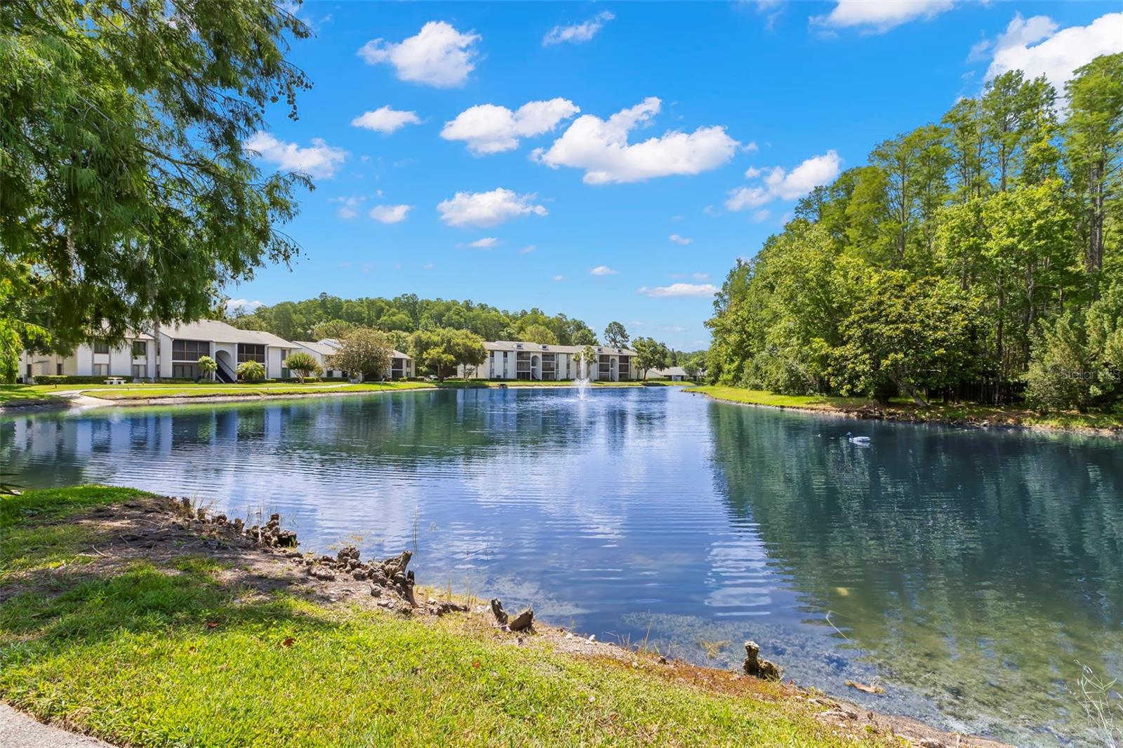 1290 PINE RIDGE CIR E #E1 — photo 31