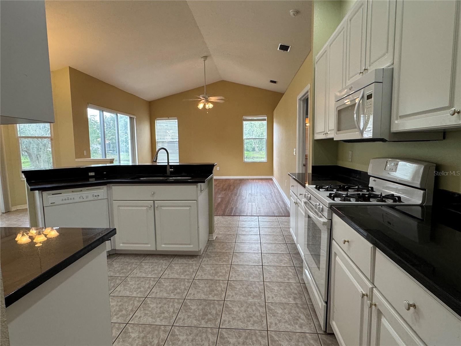 10207 QUAILS LANDING AVE — photo 22