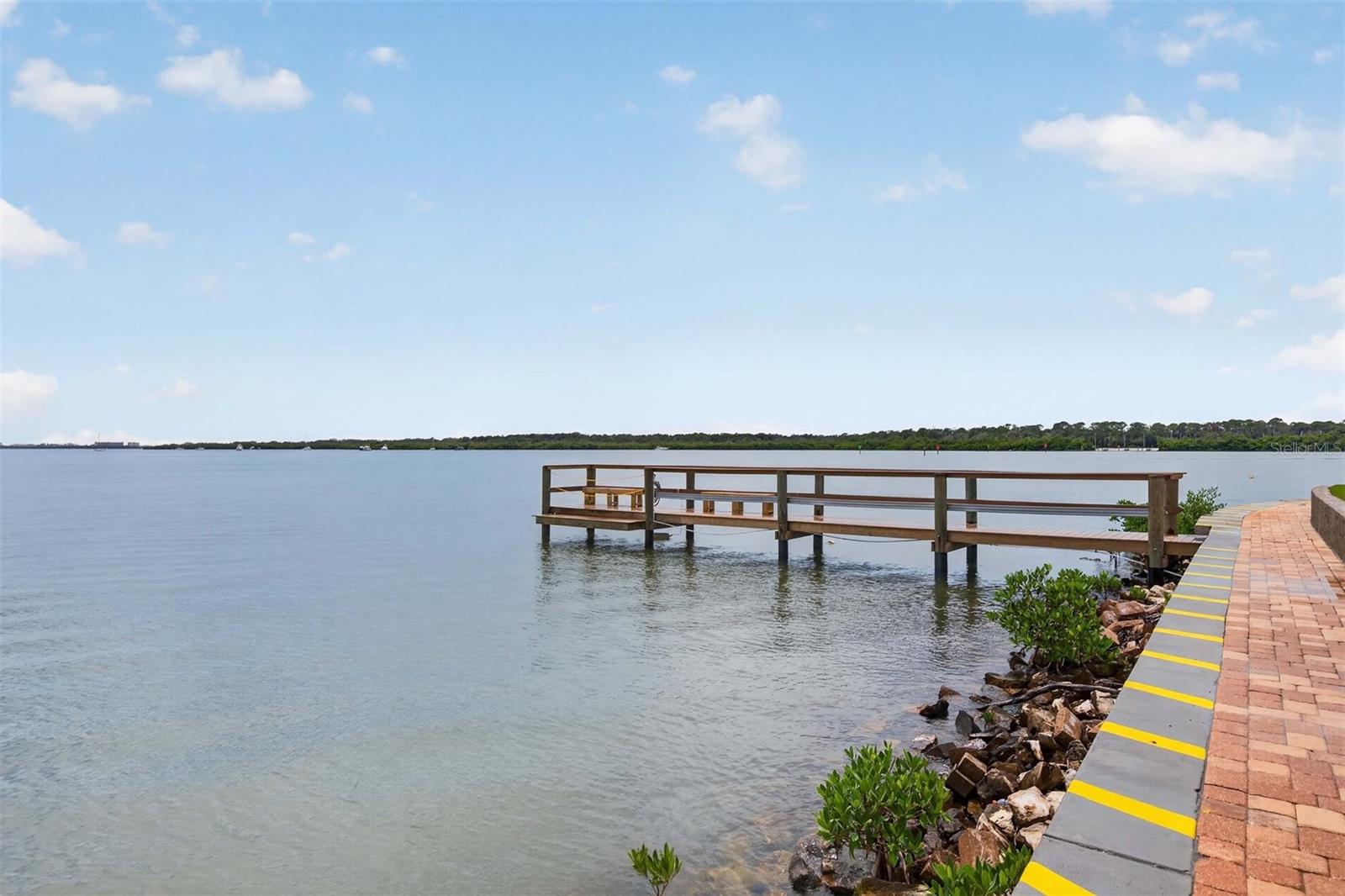 8800 BAY PINES BLVD #216 — photo 28