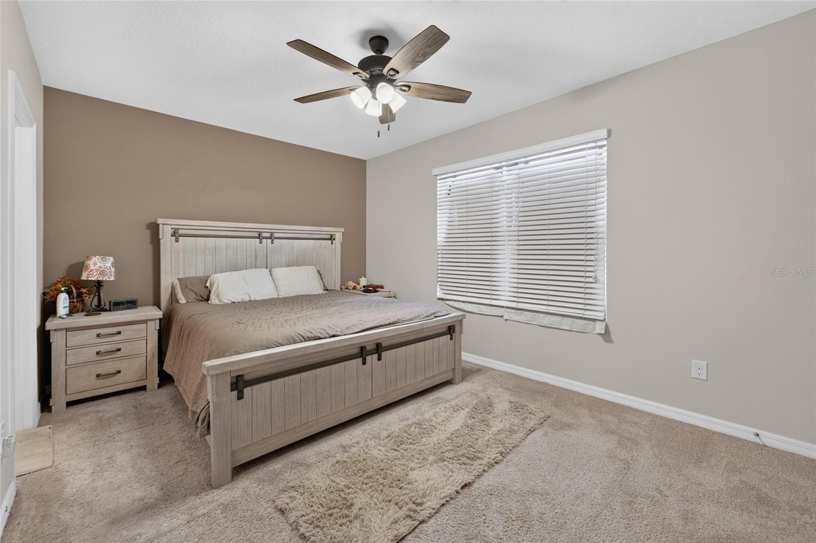 10411 RED CARPET CT — photo 47