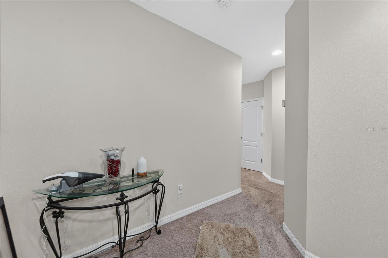 10411 RED CARPET CT — photo 31