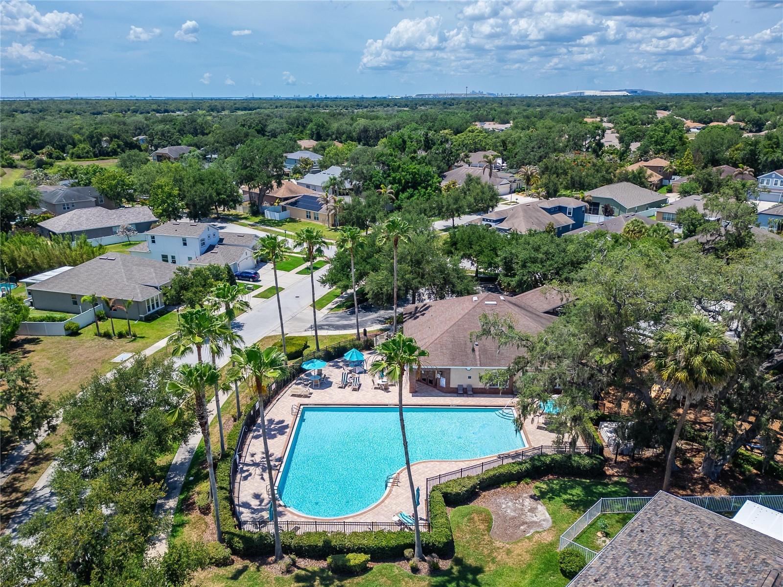 10411 RED CARPET CT — photo 61